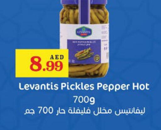  Pickle  in Trolleys Supermarket in UAE - Dubai