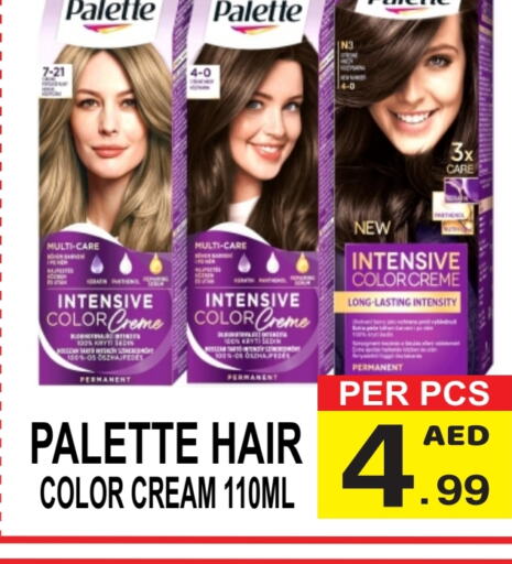 PALETTE Hair Cream  in Friday Center in UAE - Dubai