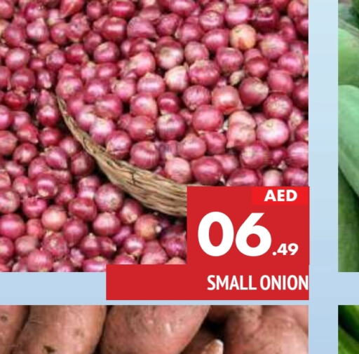  Onion  in AL MADINA in UAE - Sharjah / Ajman