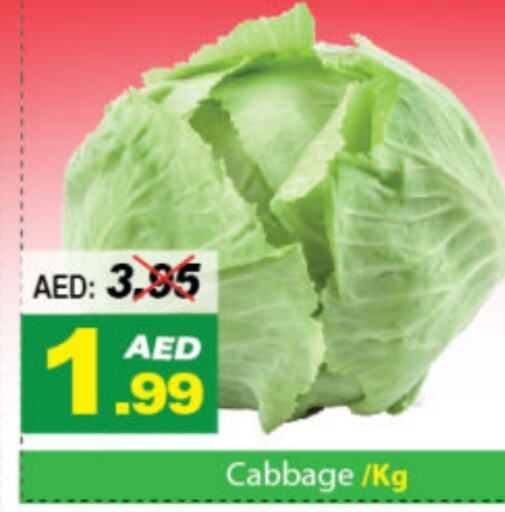  Cabbage  in DESERT FRESH MARKET  in UAE - Abu Dhabi