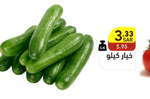  Cucumber  in Aswaq Ramez in KSA, Saudi Arabia, Saudi - Al Hasa