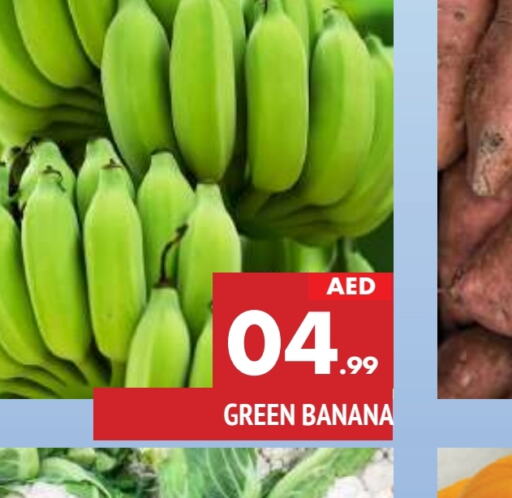  Banana Green  in AL MADINA in UAE - Sharjah / Ajman