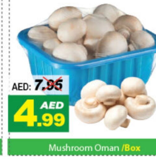  Mushroom  in DESERT FRESH MARKET  in UAE - Abu Dhabi