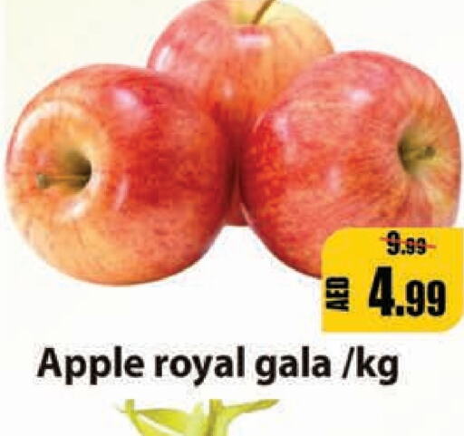  Apples  in Leptis Hypermarket  in UAE - Umm al Quwain