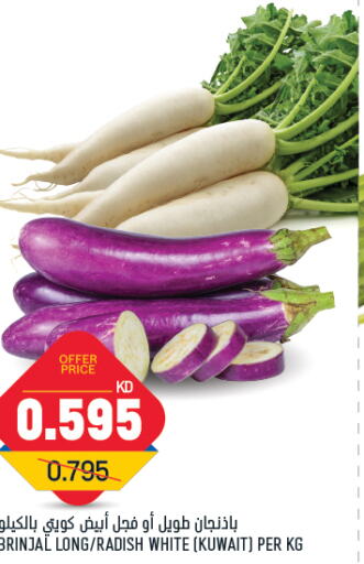  Radish  in Oncost in Kuwait - Kuwait City