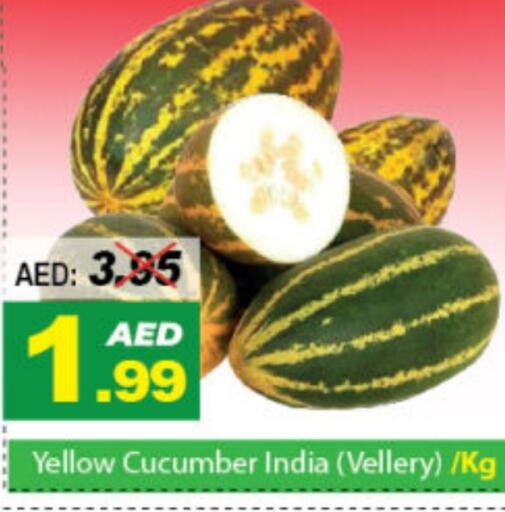  Cucumber  in DESERT FRESH MARKET  in UAE - Abu Dhabi