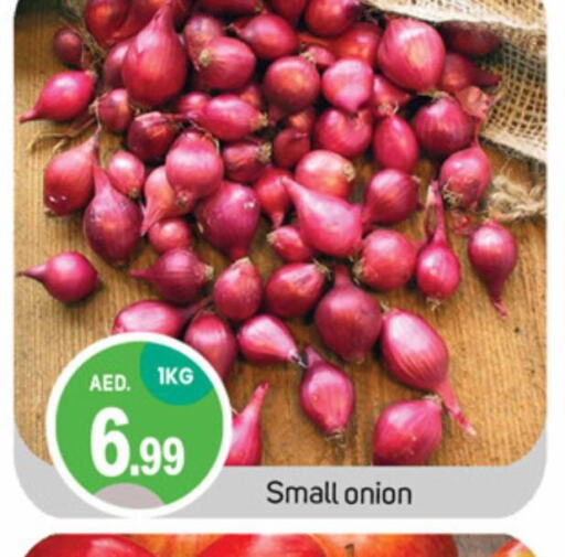  Onion  in TALAL MARKET in UAE - Sharjah / Ajman