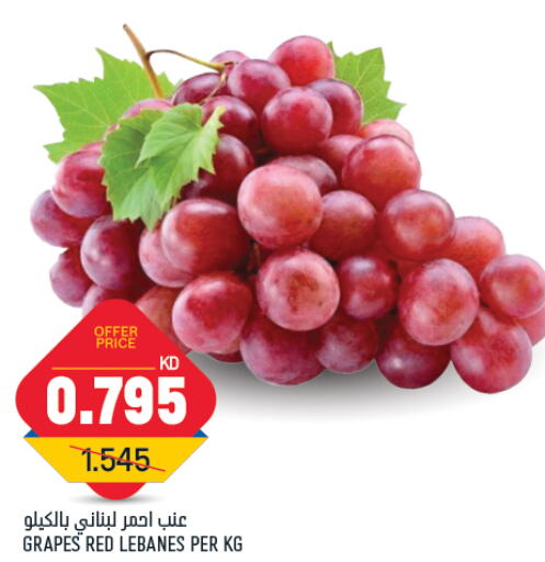  Grapes  in Oncost in Kuwait - Jahra Governorate