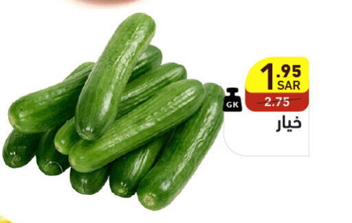  Cucumber  in Aswaq Ramez in KSA, Saudi Arabia, Saudi - Hafar Al Batin