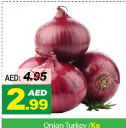  Onion  in DESERT FRESH MARKET  in UAE - Abu Dhabi