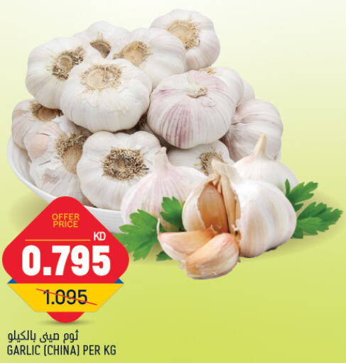  Garlic  in Oncost in Kuwait - Kuwait City