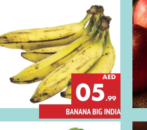  Banana  in AL MADINA in UAE - Sharjah / Ajman