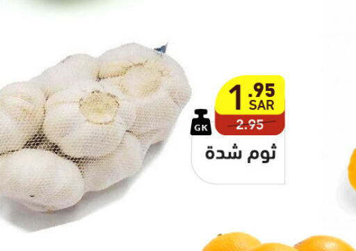  Garlic  in Aswaq Ramez in KSA, Saudi Arabia, Saudi - Hafar Al Batin