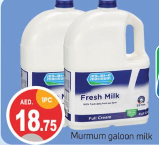 MARMUM Fresh Milk  in TALAL MARKET in UAE - Sharjah / Ajman