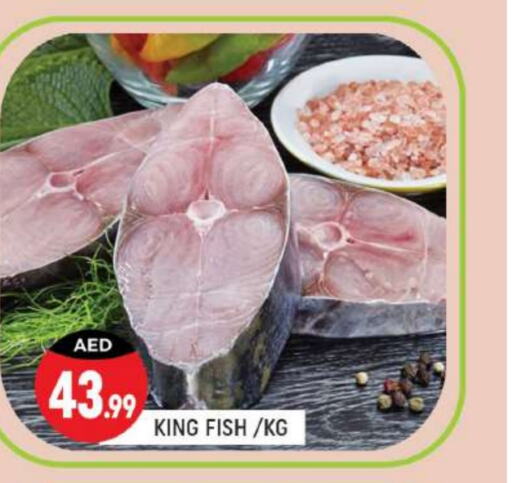  King Fish  in Shaklan  in UAE - Dubai