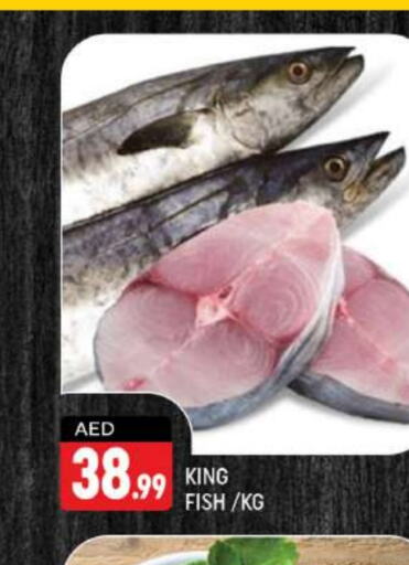  King Fish  in Shaklan  in UAE - Dubai