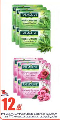 PALMOLIVE   in Bismi Wholesale in UAE - Fujairah