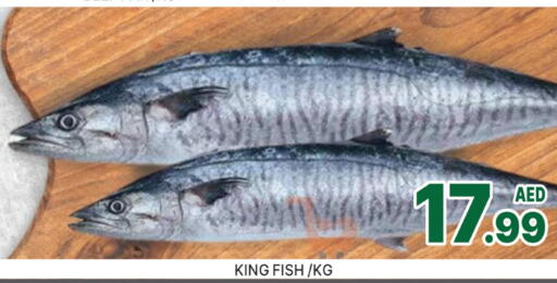  King Fish  in AL MADINA (Dubai) in UAE - Dubai