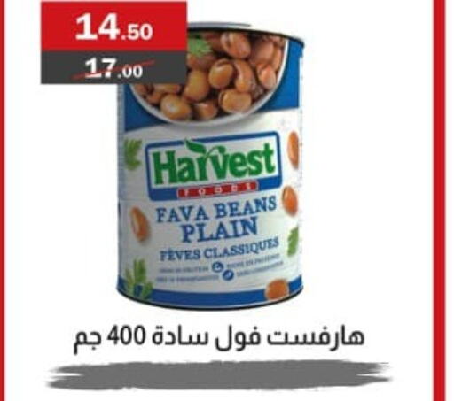  Fava Beans  in Al Masrya market in Egypt - Cairo