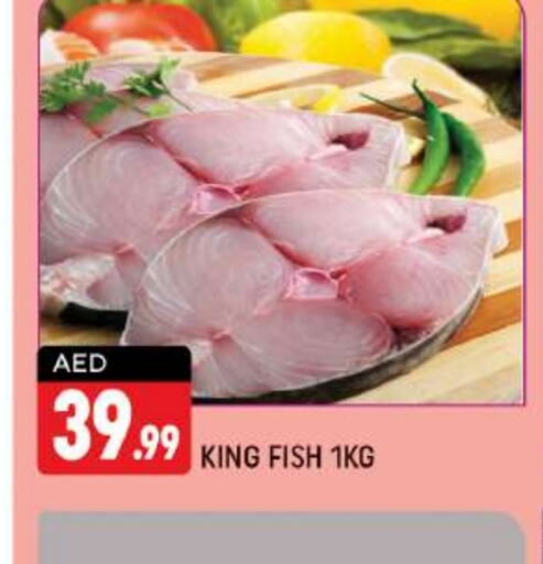  King Fish  in Shaklan  in UAE - Dubai