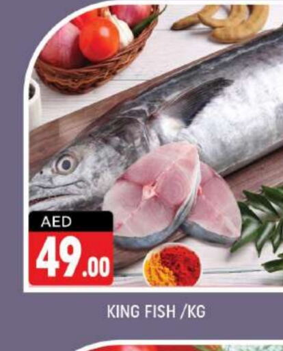  King Fish  in Shaklan  in UAE - Dubai