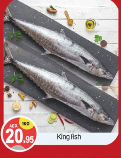  King Fish  in TALAL MARKET in UAE - Dubai