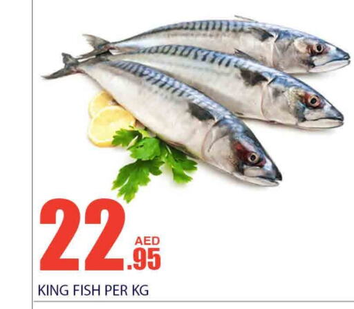  King Fish  in Bismi Wholesale in UAE - Dubai