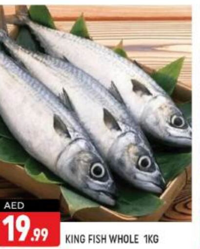  King Fish  in Shaklan  in UAE - Dubai