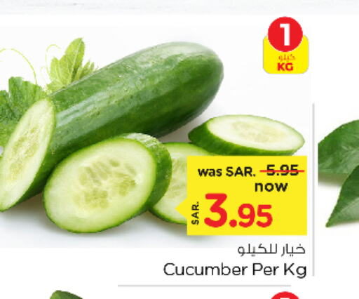  Cucumber  in Nesto in KSA, Saudi Arabia, Saudi - Al Hasa