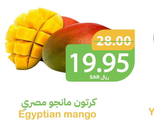 Mango Mango  in Qateba Markets in KSA, Saudi Arabia, Saudi - Buraidah