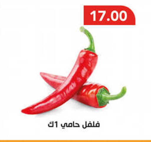  Chilli / Capsicum  in AlSultan Hypermarket in Egypt - Cairo