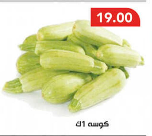  Zucchini  in AlSultan Hypermarket in Egypt - Cairo