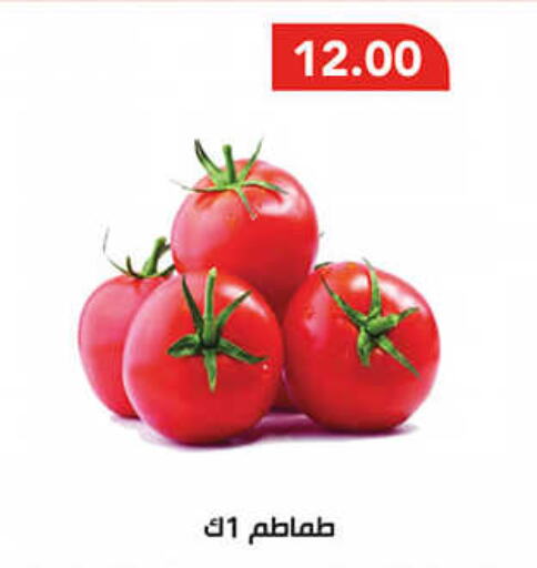  Tomato  in AlSultan Hypermarket in Egypt - Cairo