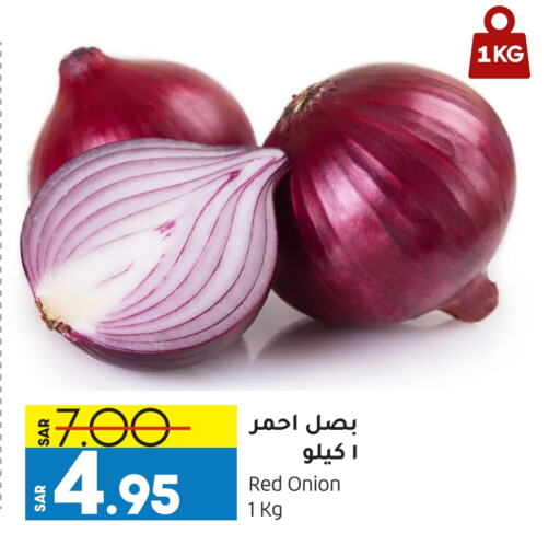  Onion  in Doha Central Supermarkets in KSA, Saudi Arabia, Saudi - Dammam