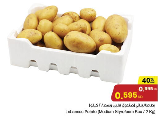  Potato  in The Sultan Center in Kuwait - Kuwait City