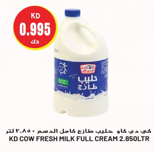 KD COW Fresh Milk  in Grand Hyper in Kuwait - Ahmadi Governorate