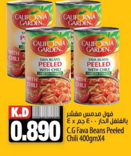 CALIFORNIA Fava Beans  in Mango Hypermarket  in Kuwait - Jahra Governorate