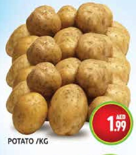  Potato  in Palm Centre LLC in UAE - Sharjah / Ajman