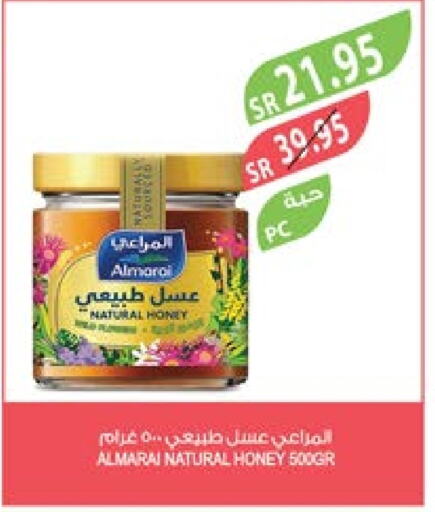 ALMARAI Honey  in Farm  in KSA, Saudi Arabia, Saudi - Riyadh