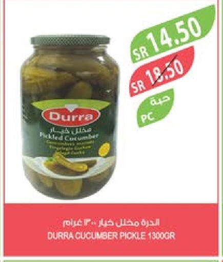 DURRA Pickle  in Farm  in KSA, Saudi Arabia, Saudi - Al Bahah