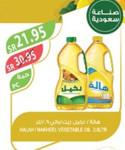 HALAH Vegetable Oil  in Farm  in KSA, Saudi Arabia, Saudi - Al Hasa