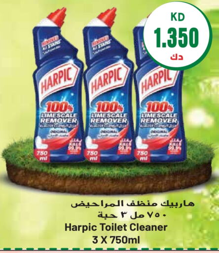 HARPIC Toilet / Drain Cleaner  in Grand Hyper in Kuwait - Kuwait City