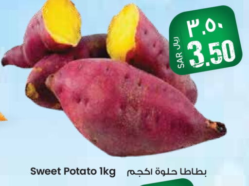  Sweet Potato  in City Flower in KSA, Saudi Arabia, Saudi - Hail