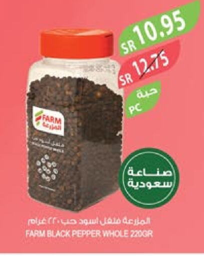  Spices  in Farm  in KSA, Saudi Arabia, Saudi - Qatif