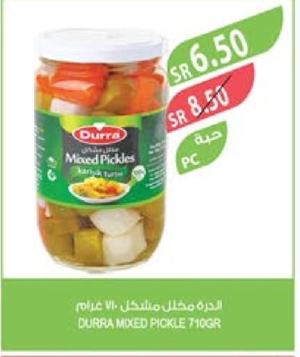 DURRA Pickle  in Farm  in KSA, Saudi Arabia, Saudi - Riyadh