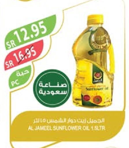  Sunflower Oil  in Farm  in KSA, Saudi Arabia, Saudi - Al Bahah