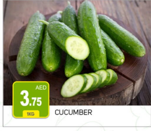  Cucumber  in TALAL MARKET in UAE - Dubai