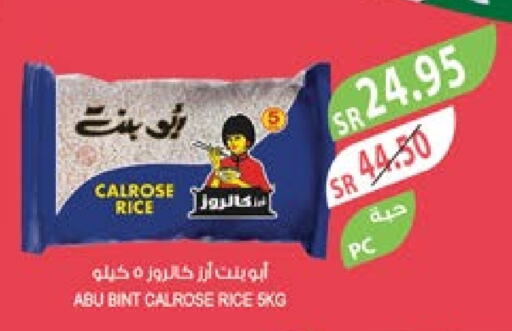  Calrose Rice  in Farm  in KSA, Saudi Arabia, Saudi - Al Bahah