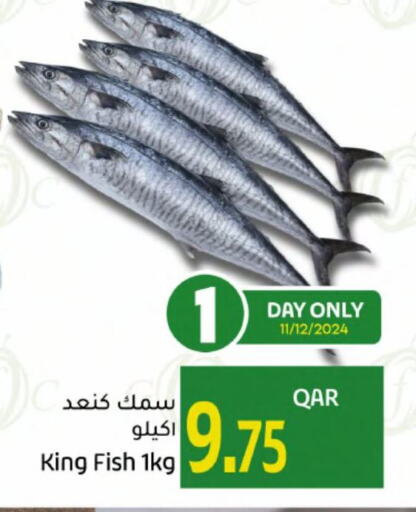  King Fish  in Gulf Food Center in Qatar - Al Khor