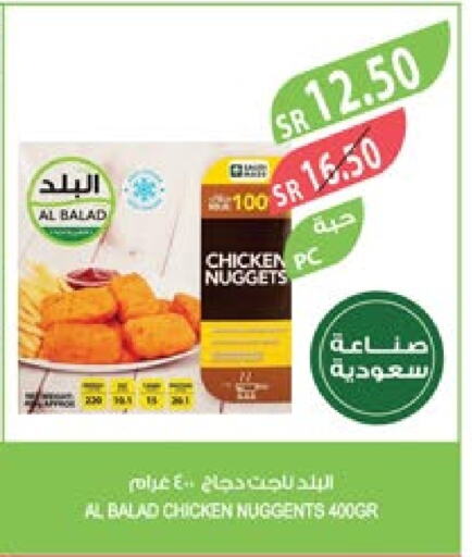  Chicken Nuggets  in Farm  in KSA, Saudi Arabia, Saudi - Khafji